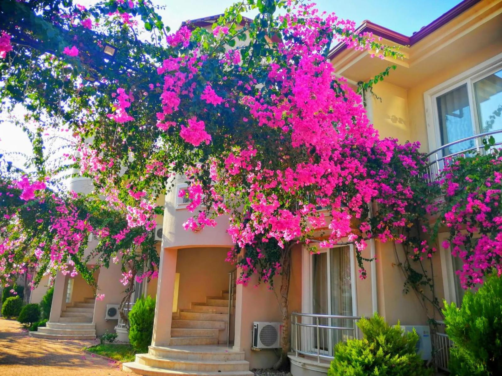 פאטהיה Sunset Beach Club מראה חיצוני תמונה